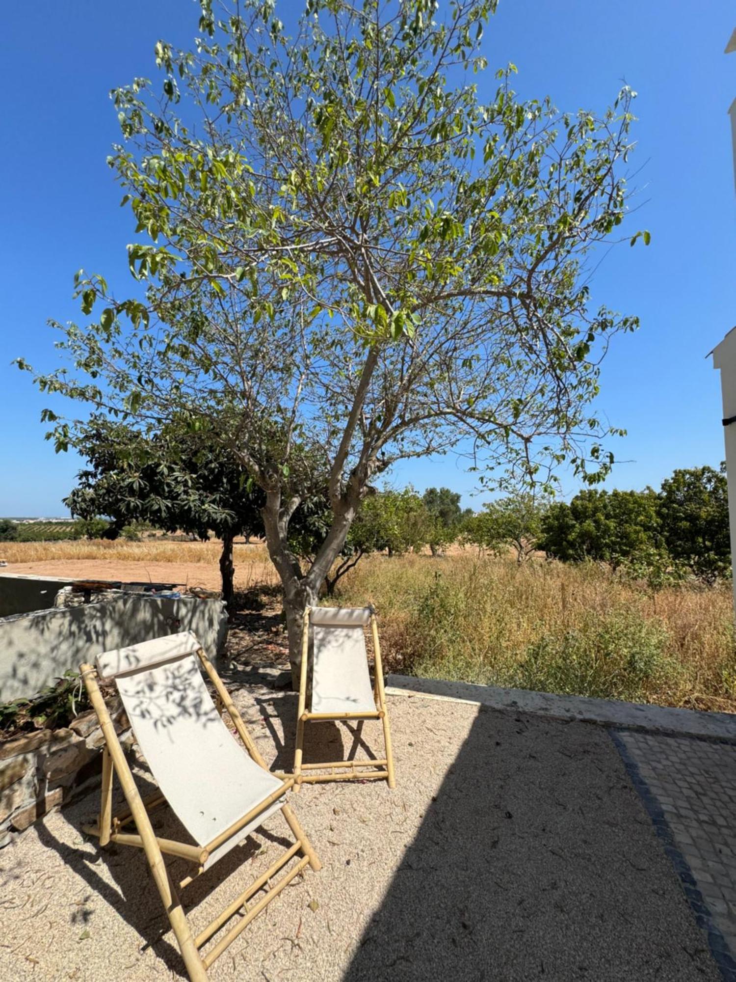 Quinta Castor Villa Vila Nova de Cacela Exteriör bild