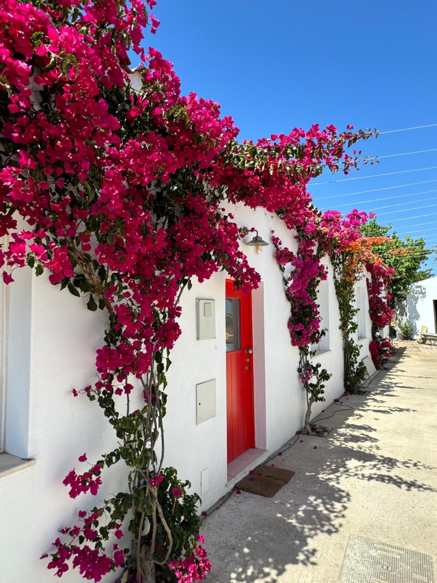 Quinta Castor Villa Vila Nova de Cacela Exteriör bild