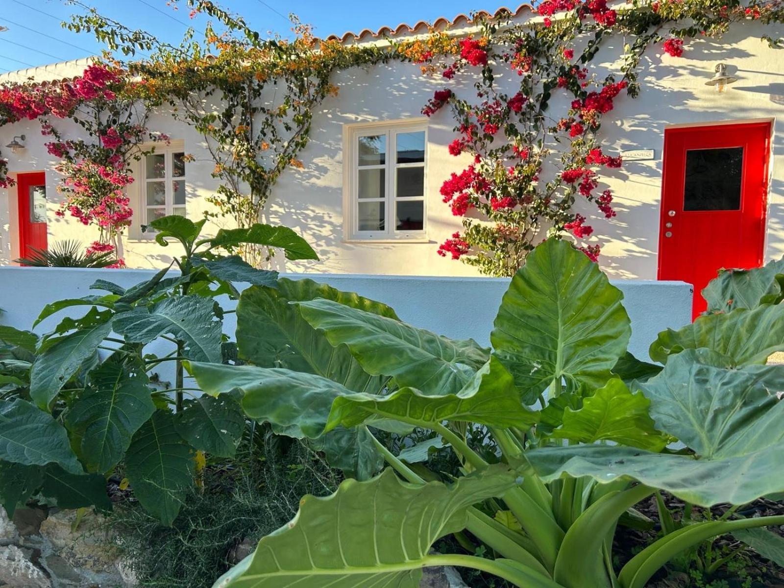 Quinta Castor Villa Vila Nova de Cacela Exteriör bild